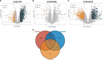 Tumor-Infiltrating CD8+ T Cells Driven by the Immune Checkpoint-Associated Gene IDO1 Are Associated With Cervical Cancer Prognosis